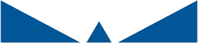 Capital Insurance - Logo Icon